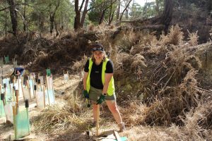 Volunteer planting trees in Australian bushland.