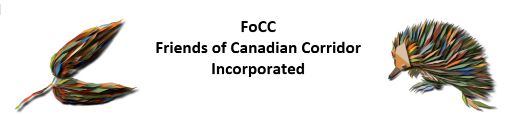Friends of Canadian Corridor logo with art leaves, echidna.