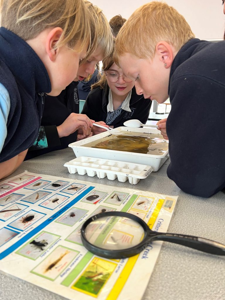 School children examining water samples for science project.