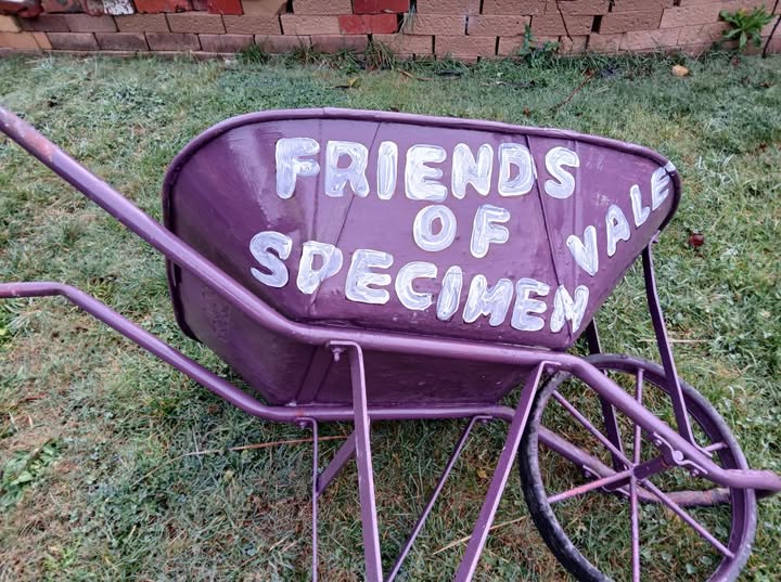 Purple wheelbarrow with 'Friends of Specimen Vale' text